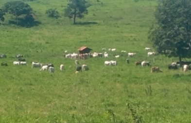 Fazenda para venda em Planalto da Serra